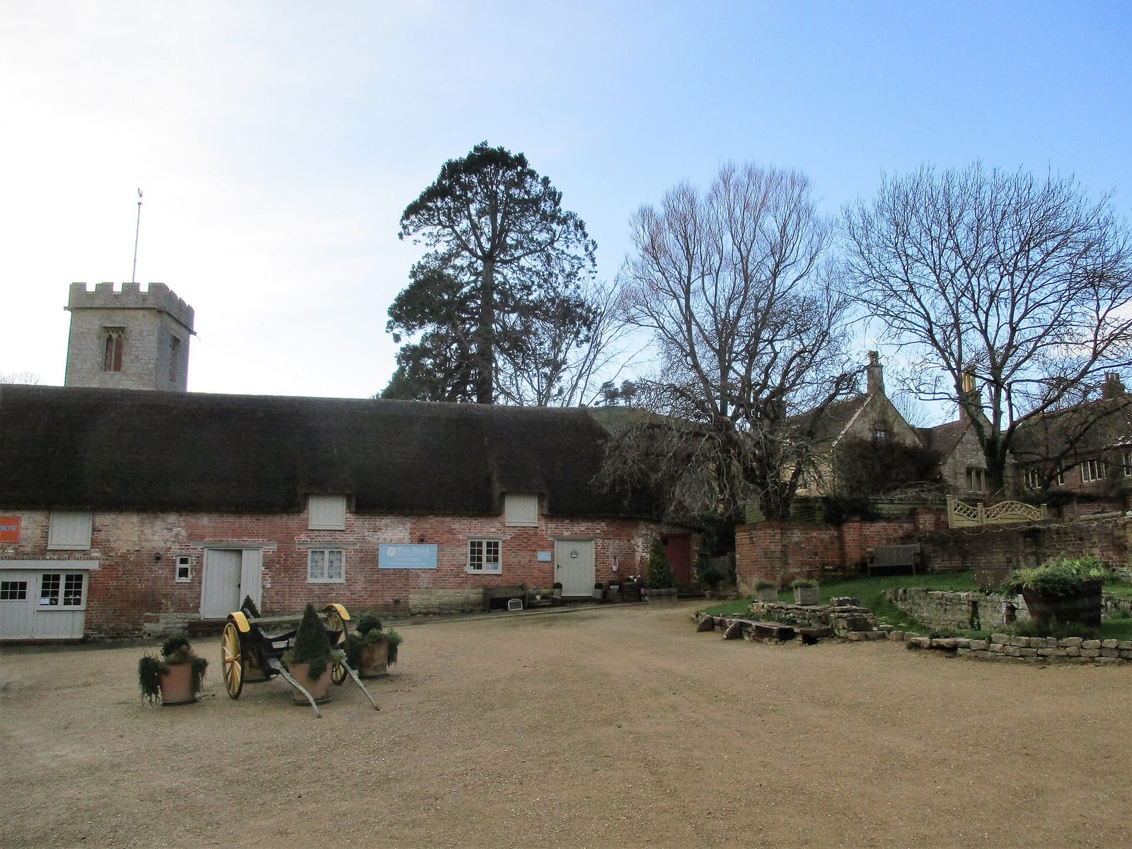 Symondsbury Kitchen photo 2