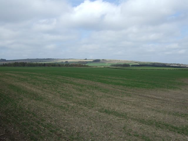 Costa photo 3