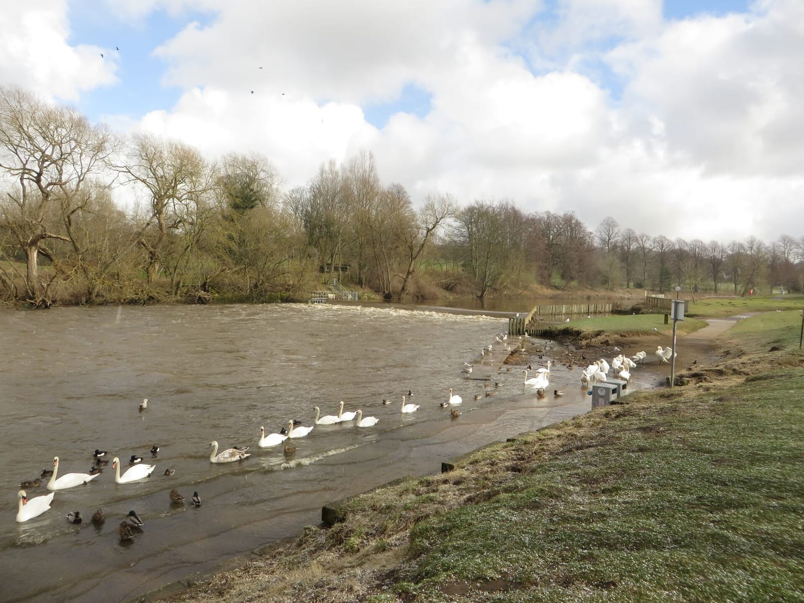 Riverside Café photo 2