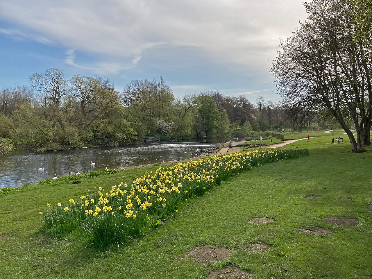 Riverside Café photo 4