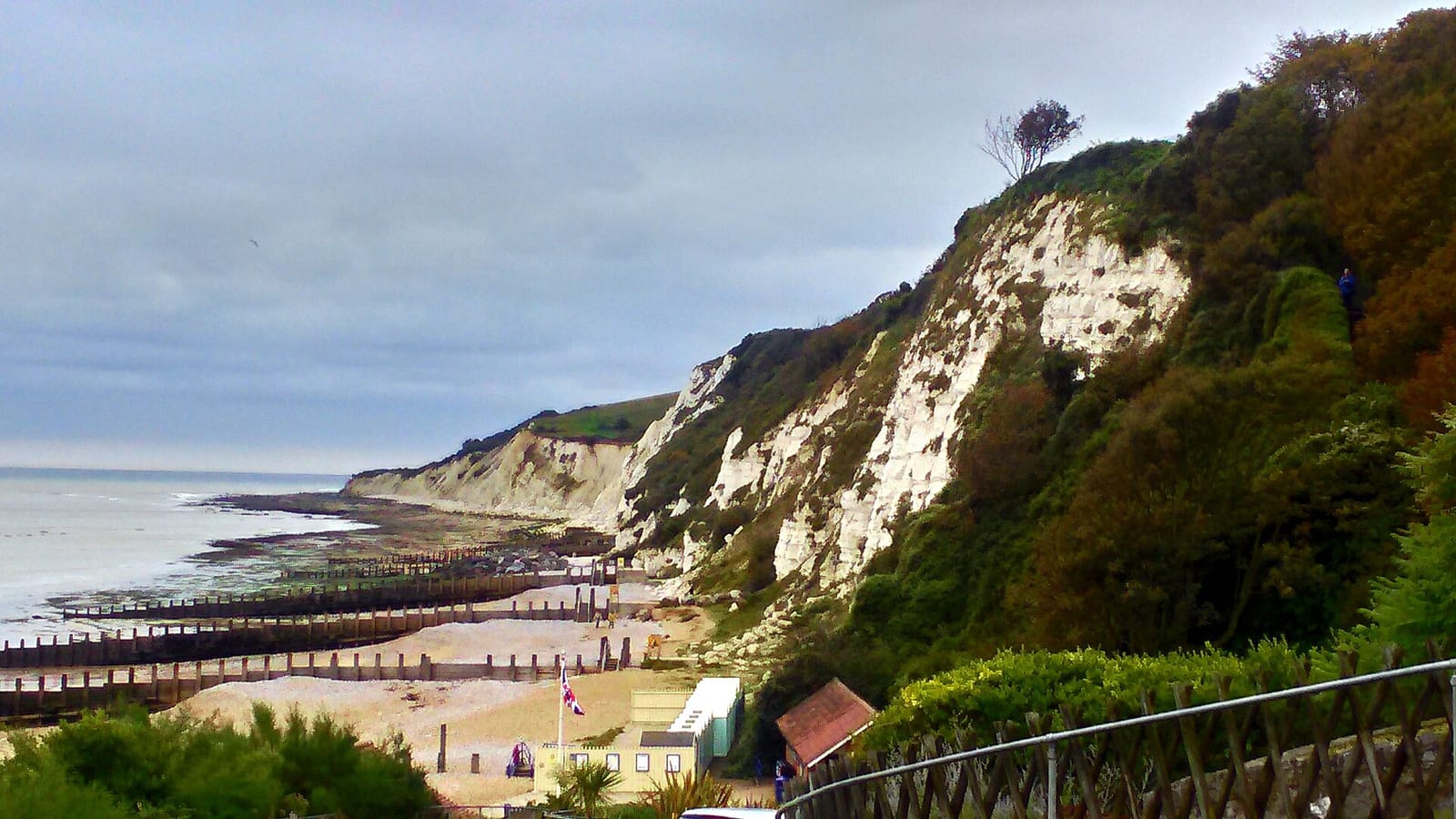 Holywell Tea Chalet photo 3