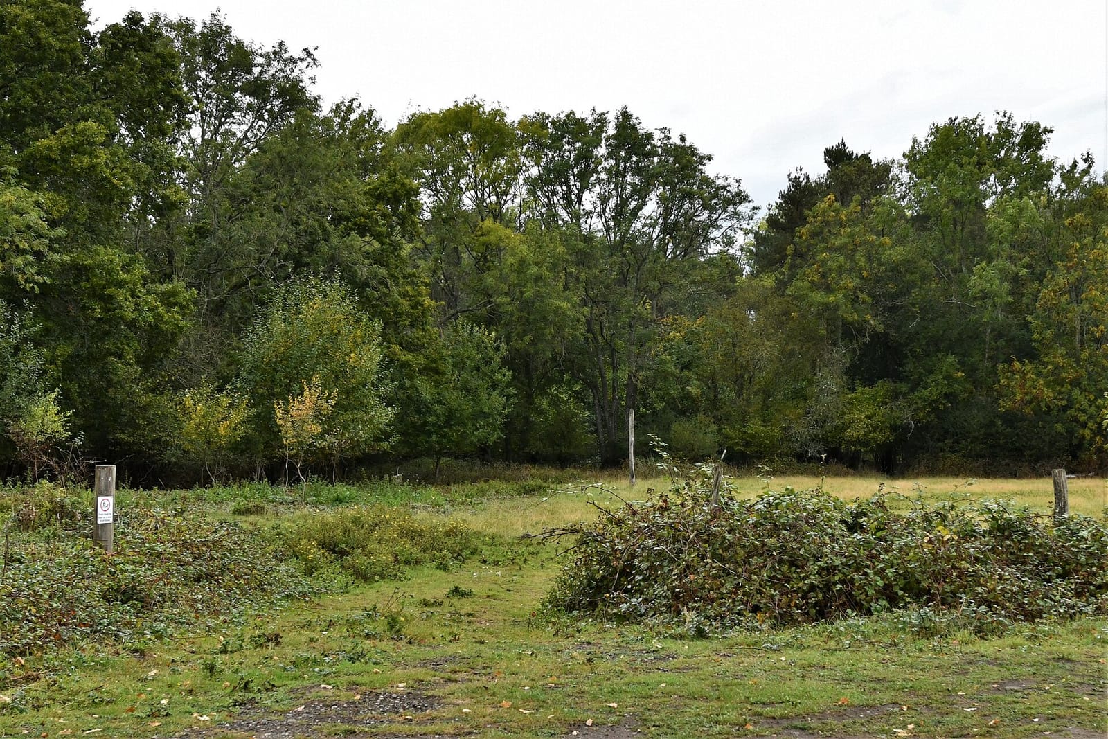 The Deer Park Café photo 2