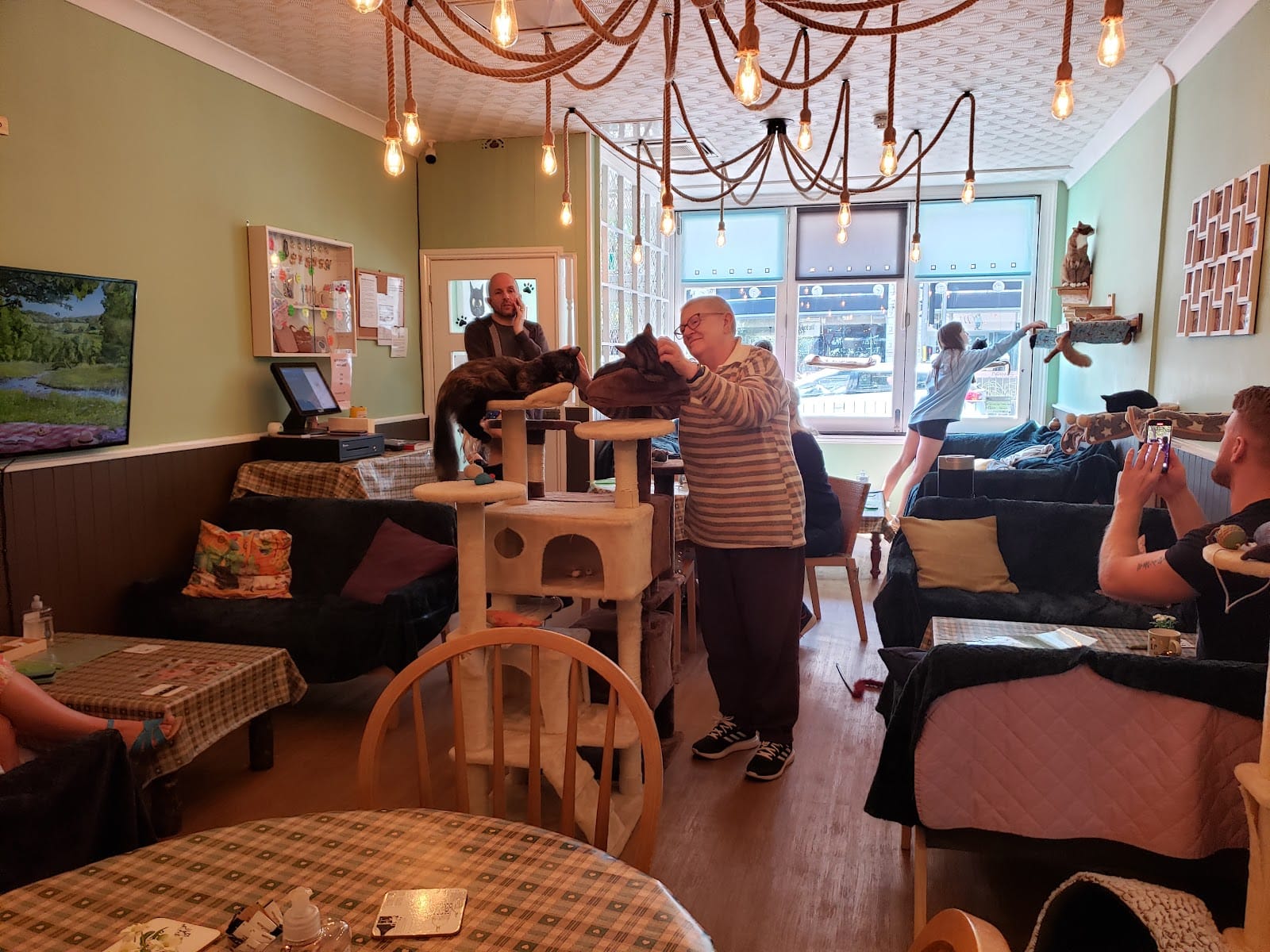 The Mad Catter Cat Cafe
