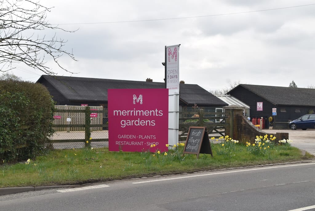Merriments Cafe photo 4