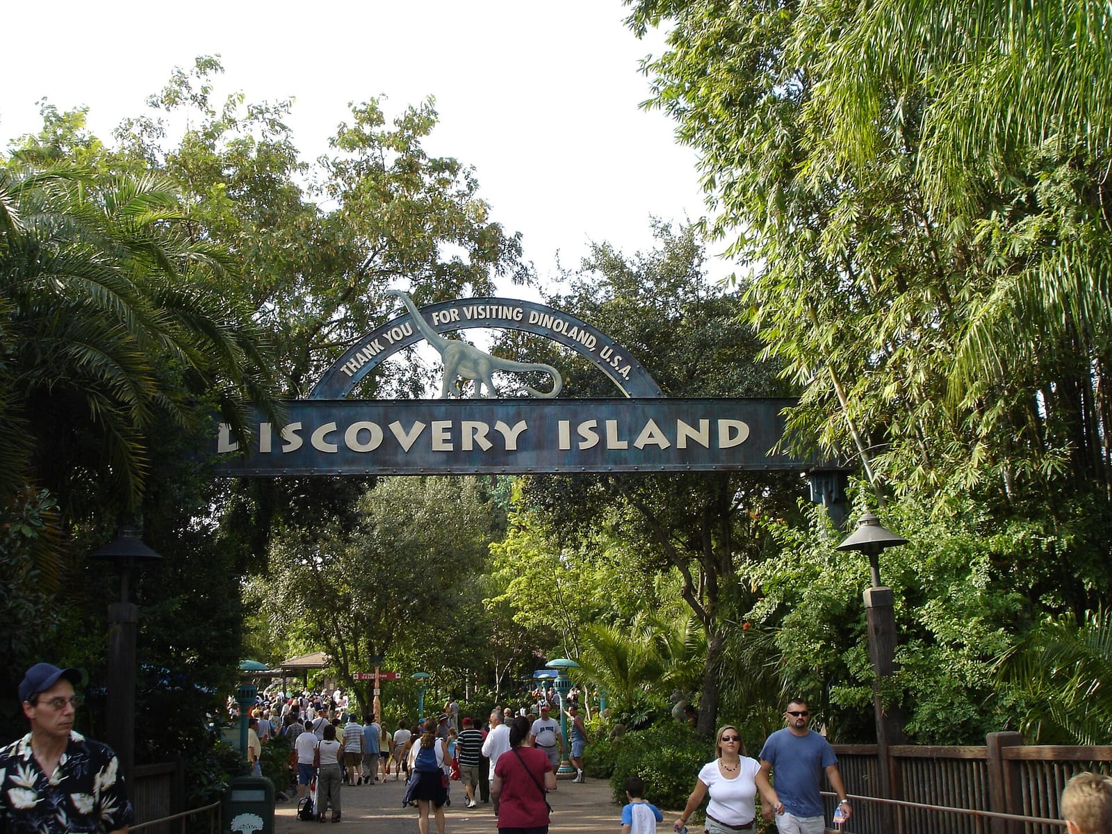 Isle of Java photo 4
