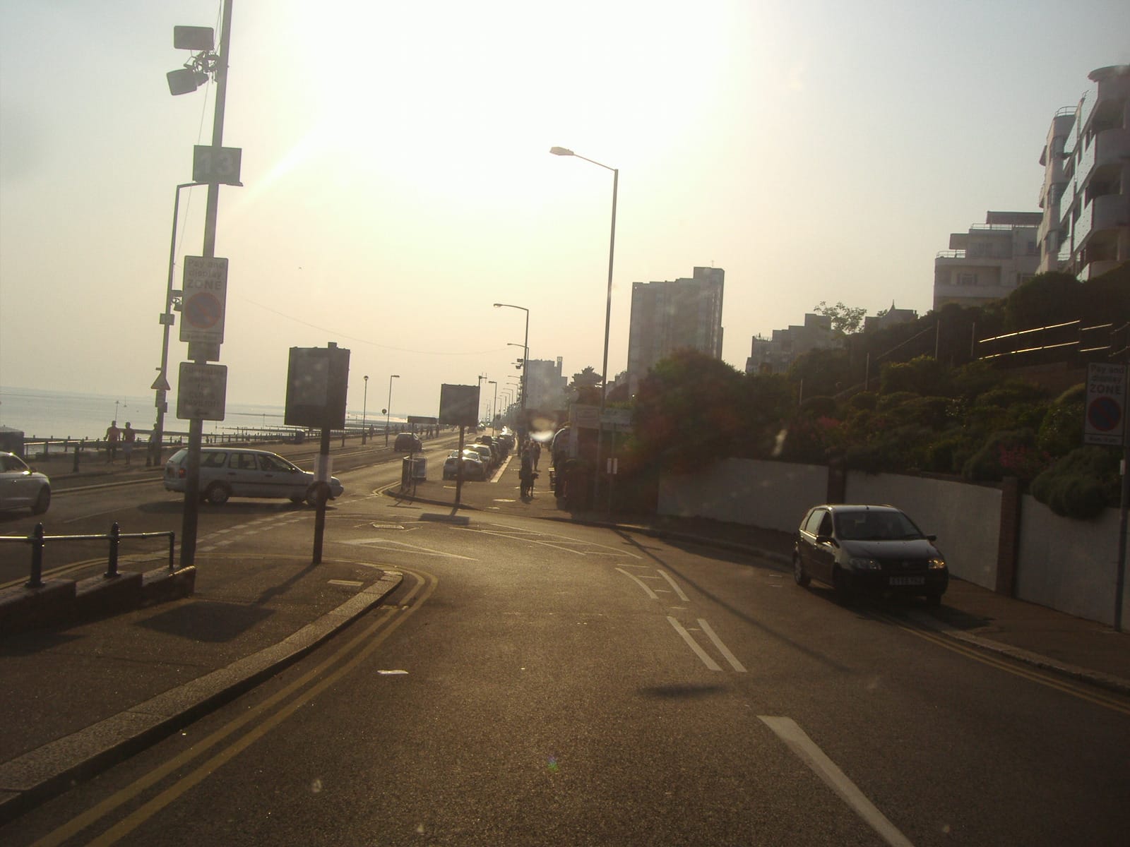 Dino's photo 4