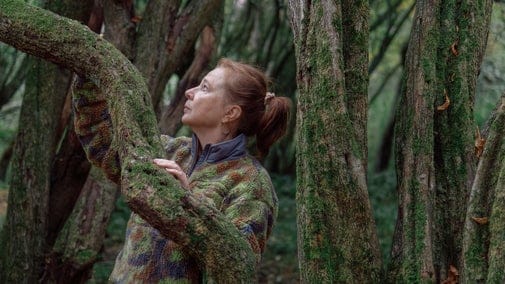 Forest Café photo 4