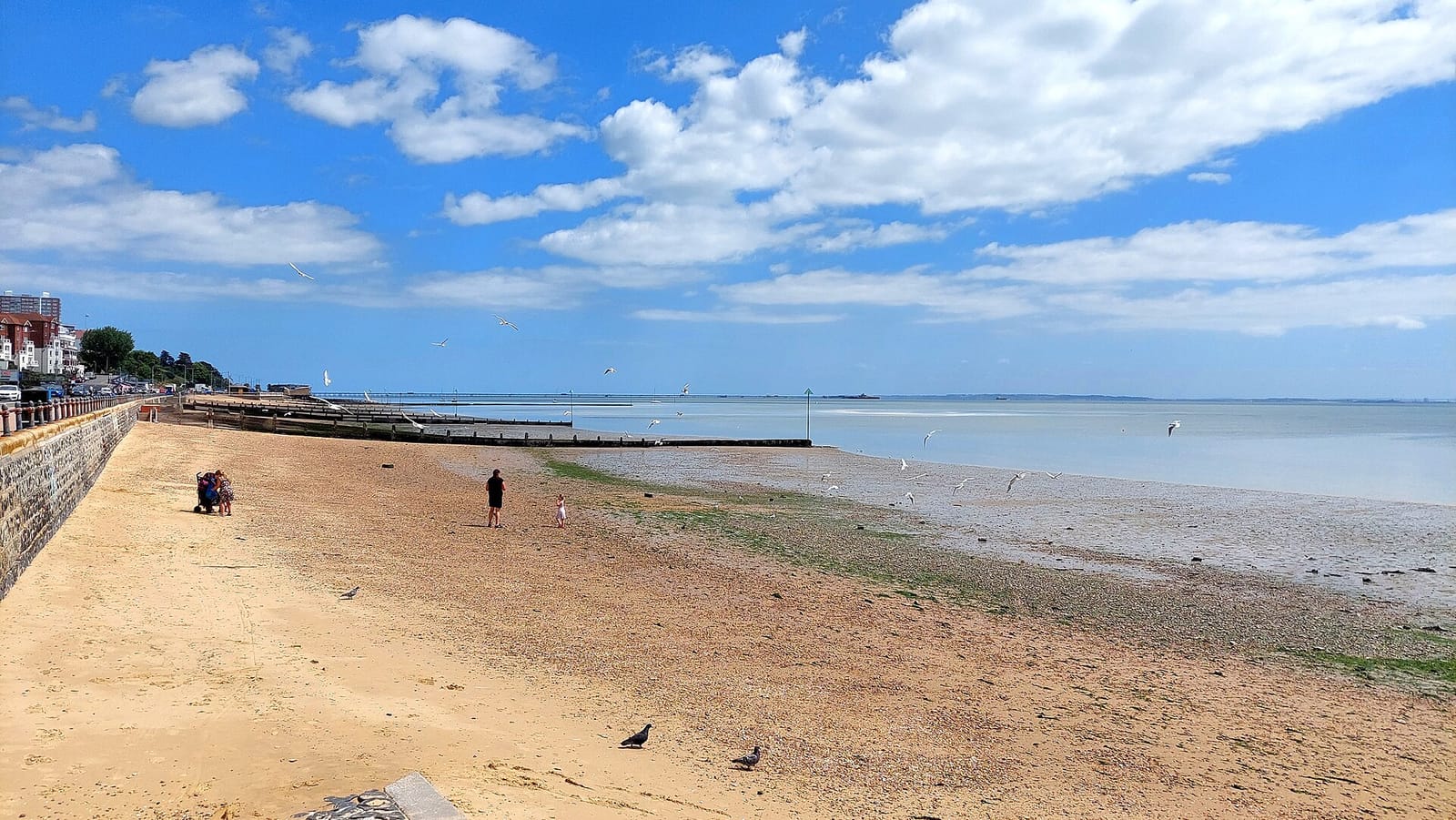 The Beach Hut