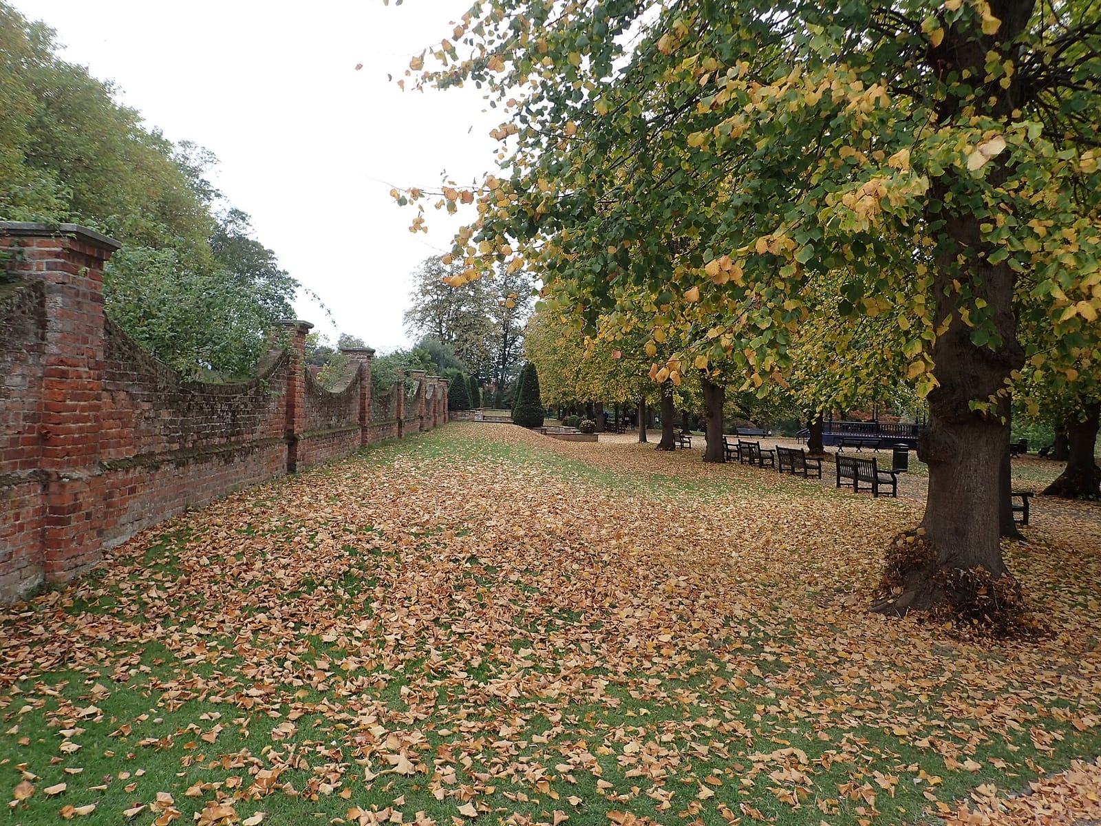 Cafe in the Park photo 3