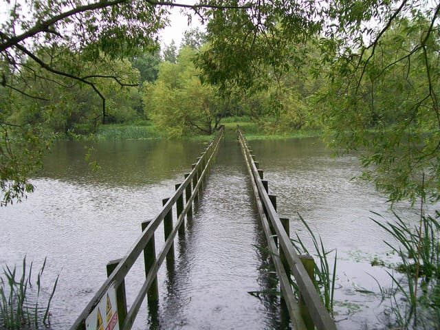 Two Lakes Cafe photo 2