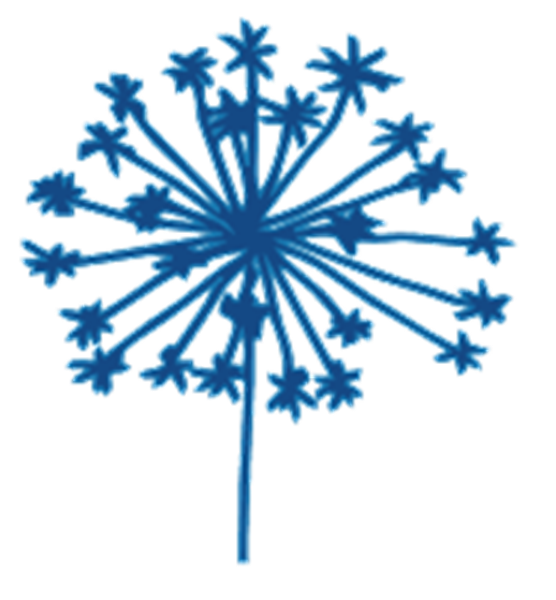 Blue Garden Café photo 7