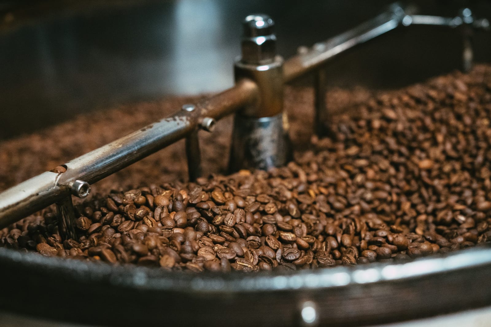 The Lab Coffee - Seminole Heights photo 4