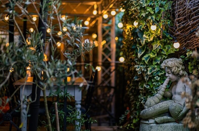 The Curious Café & Bistro photo 3