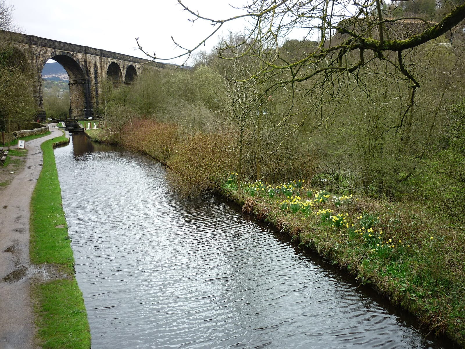 Limekiln Cafe photo 5