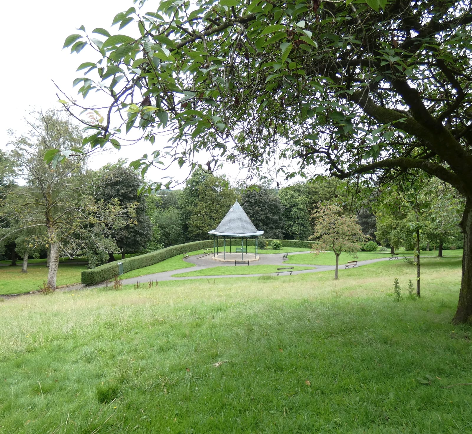 Vernon Park Cafe photo 4