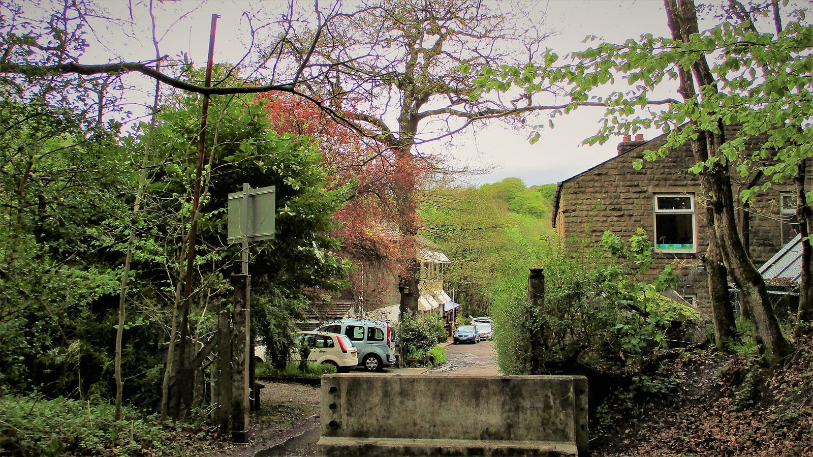 Healey Dell Heritage Centre & Tea Rooms photo 2