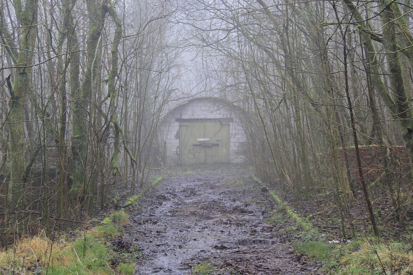 Healey Dell Heritage Centre & Tea Rooms photo 3