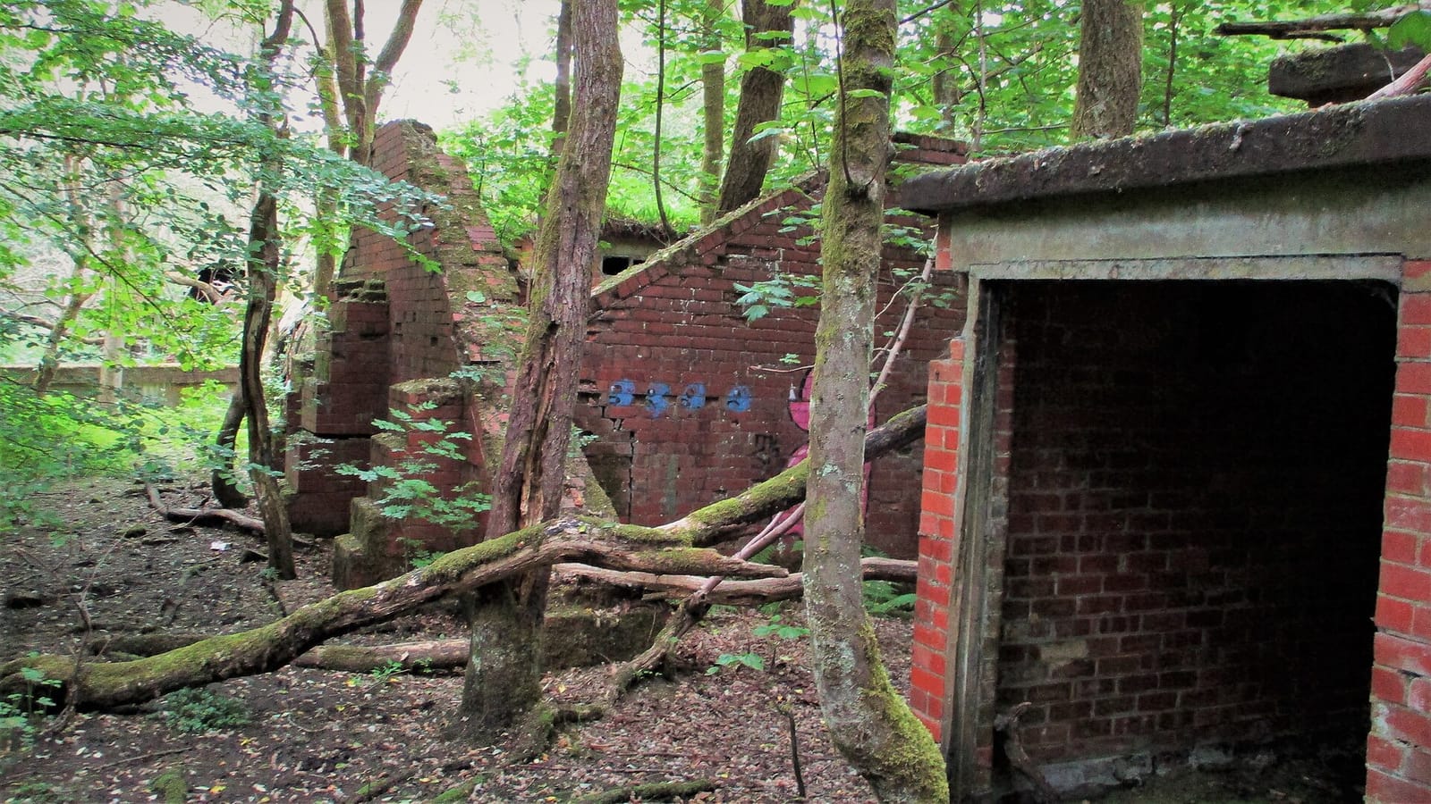 Healey Dell Heritage Centre & Tea Rooms