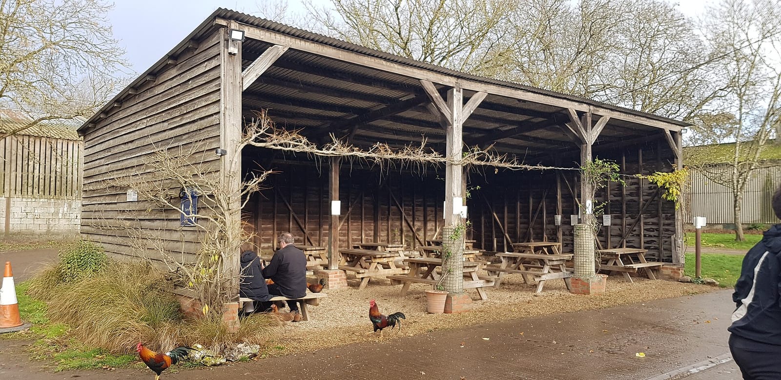 Cholderton Farm Shop & Cafe photo 2
