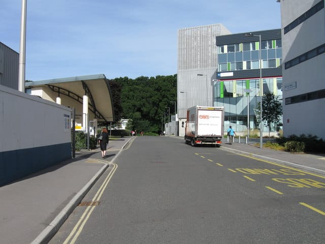 Costa photo 4