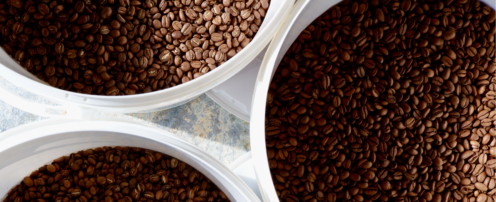 Coffee Mongers photo 4