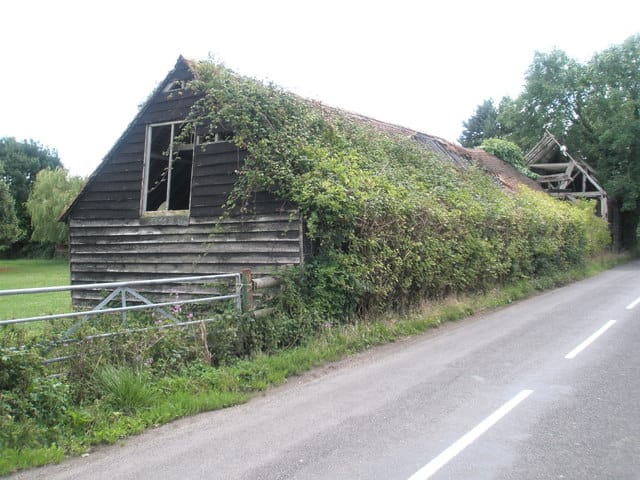 Northney Farm Tea Room photo 3