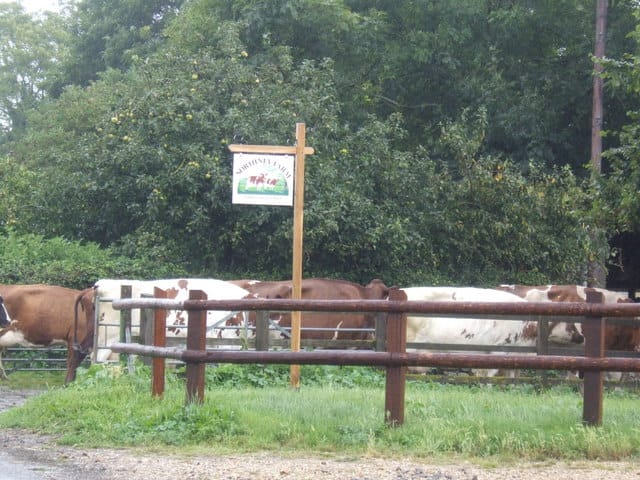 Northney Farm Tea Room photo 2