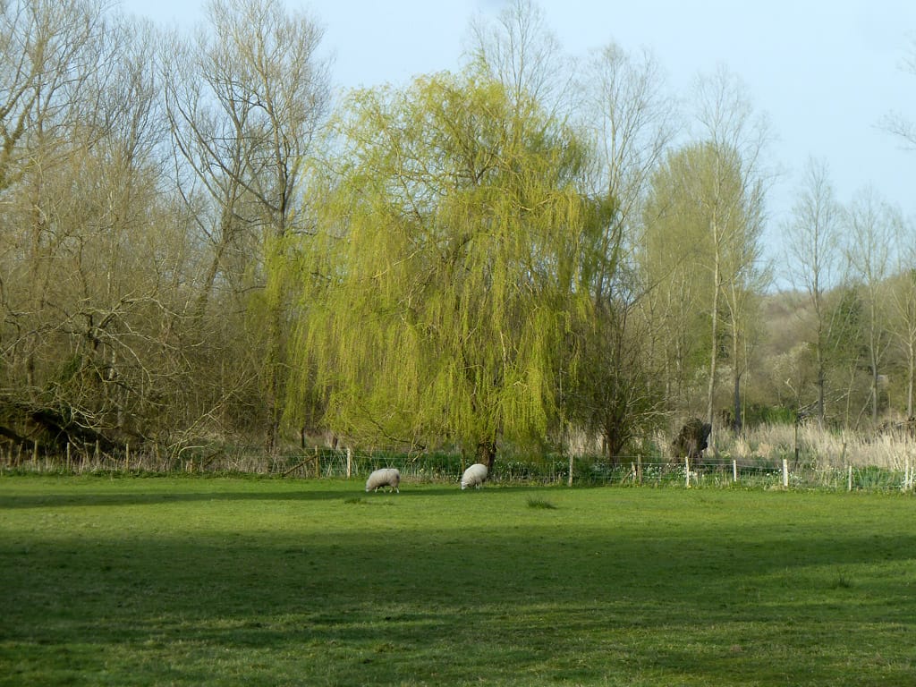 Wilfrid's Cafe & Heritage Centre