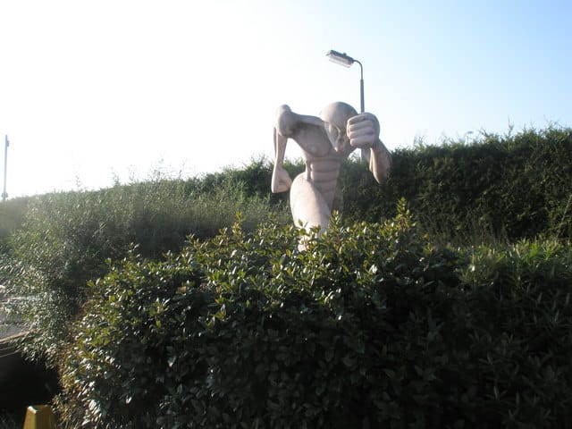 Costa photo 2