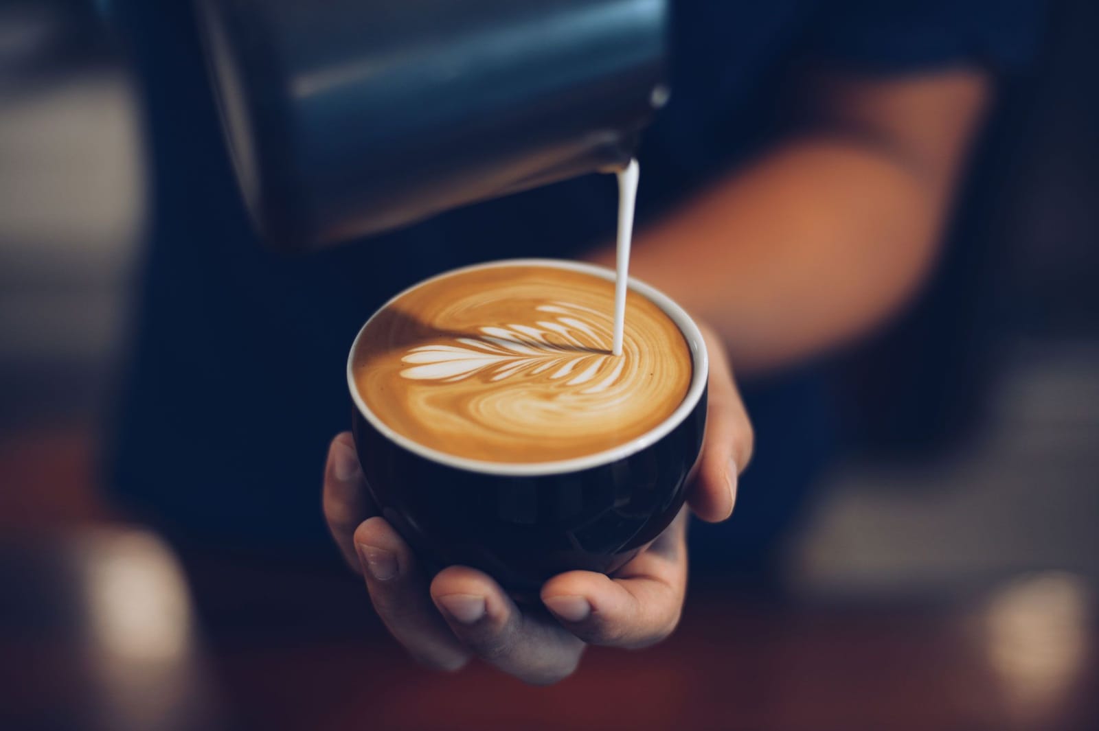 Muse Coffee Co. photo 2