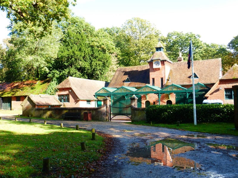 Tea Rooms at the Coachhouse photo 2