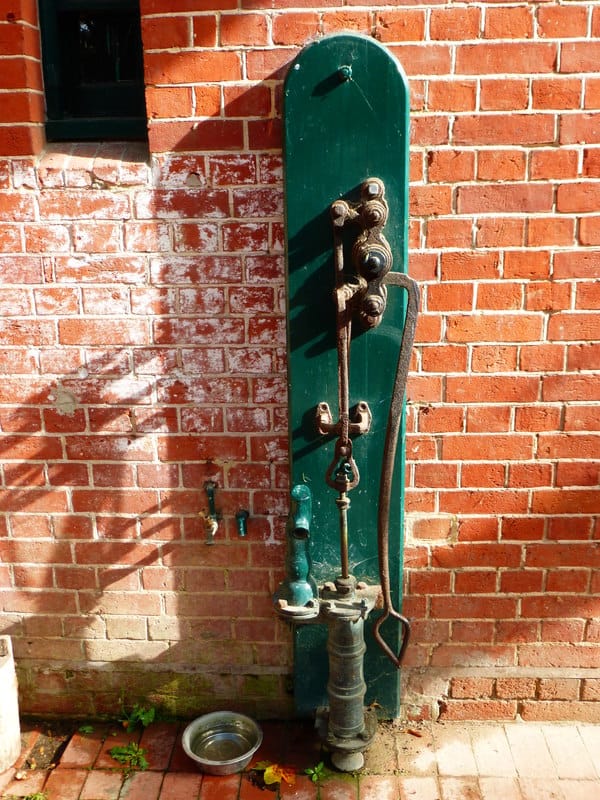 Tea Rooms at the Coachhouse photo 3