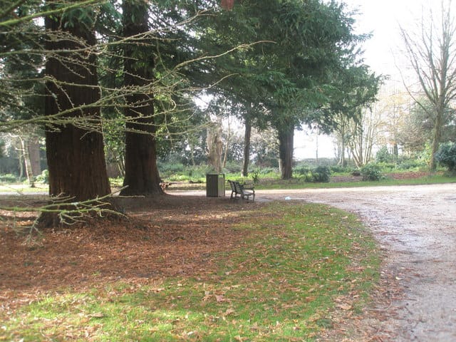Tea Rooms at the Coachhouse photo 4