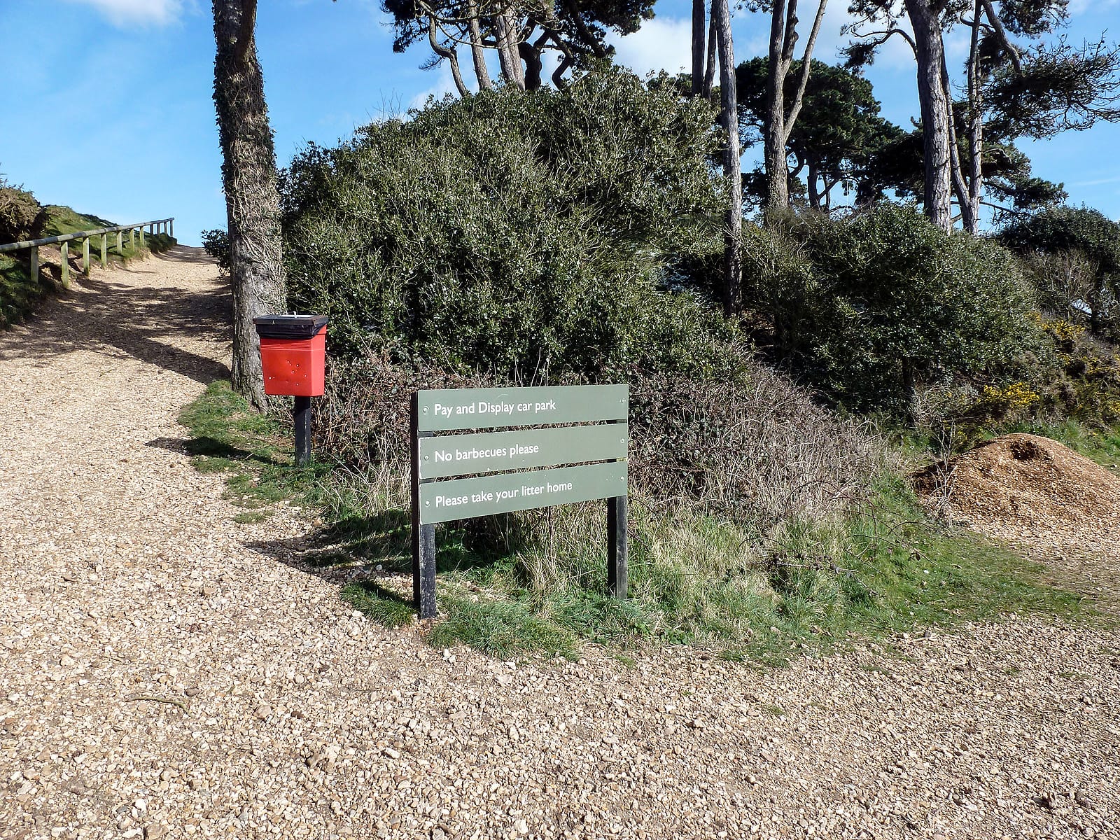 The Lookout photo 3