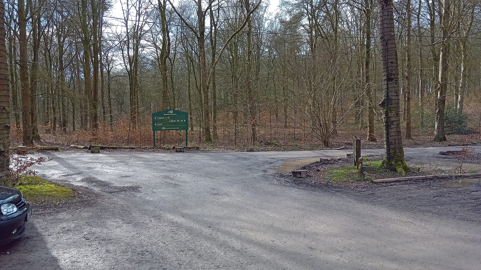 Forest Retreat photo 3