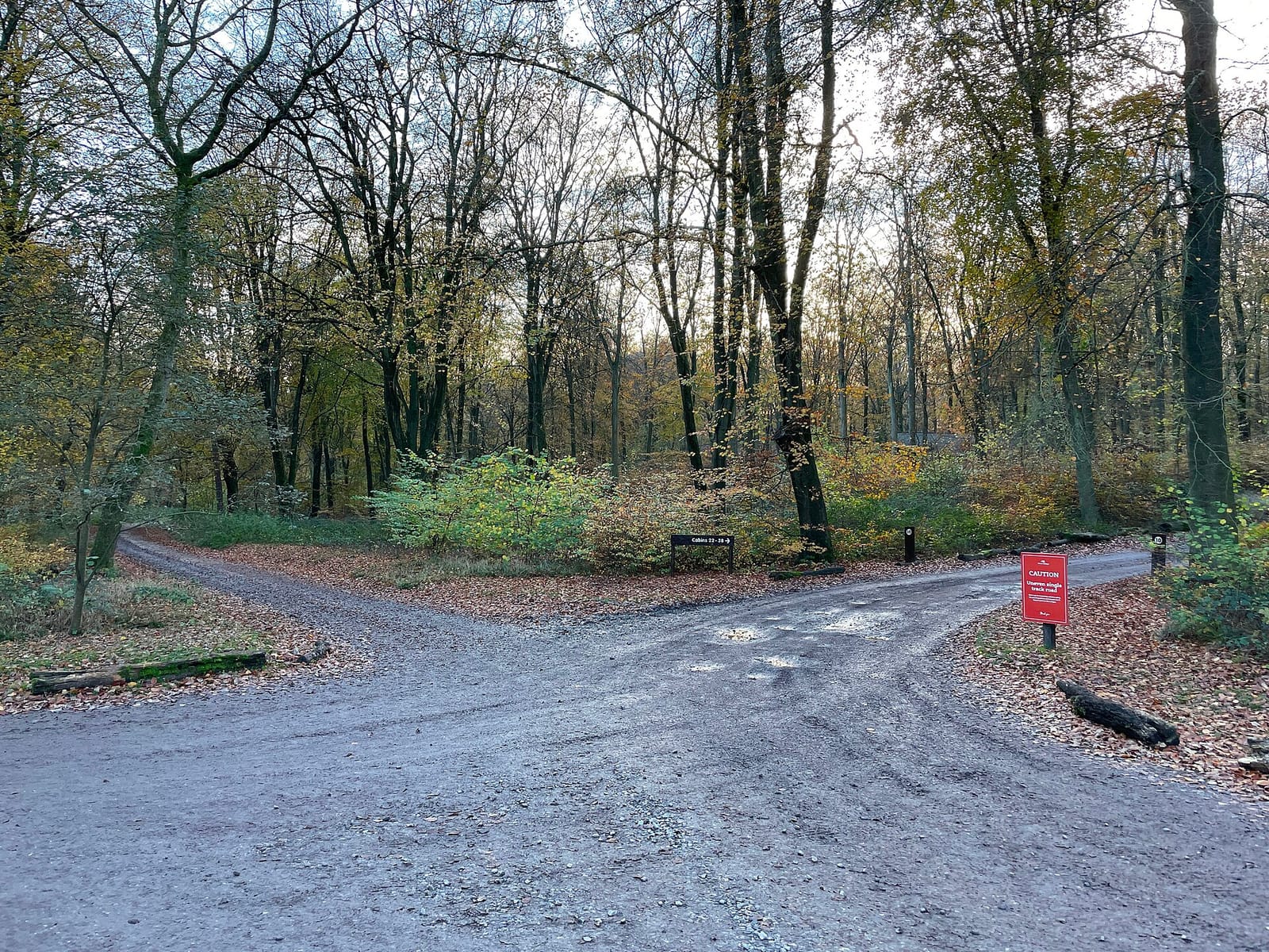 Forest Retreat