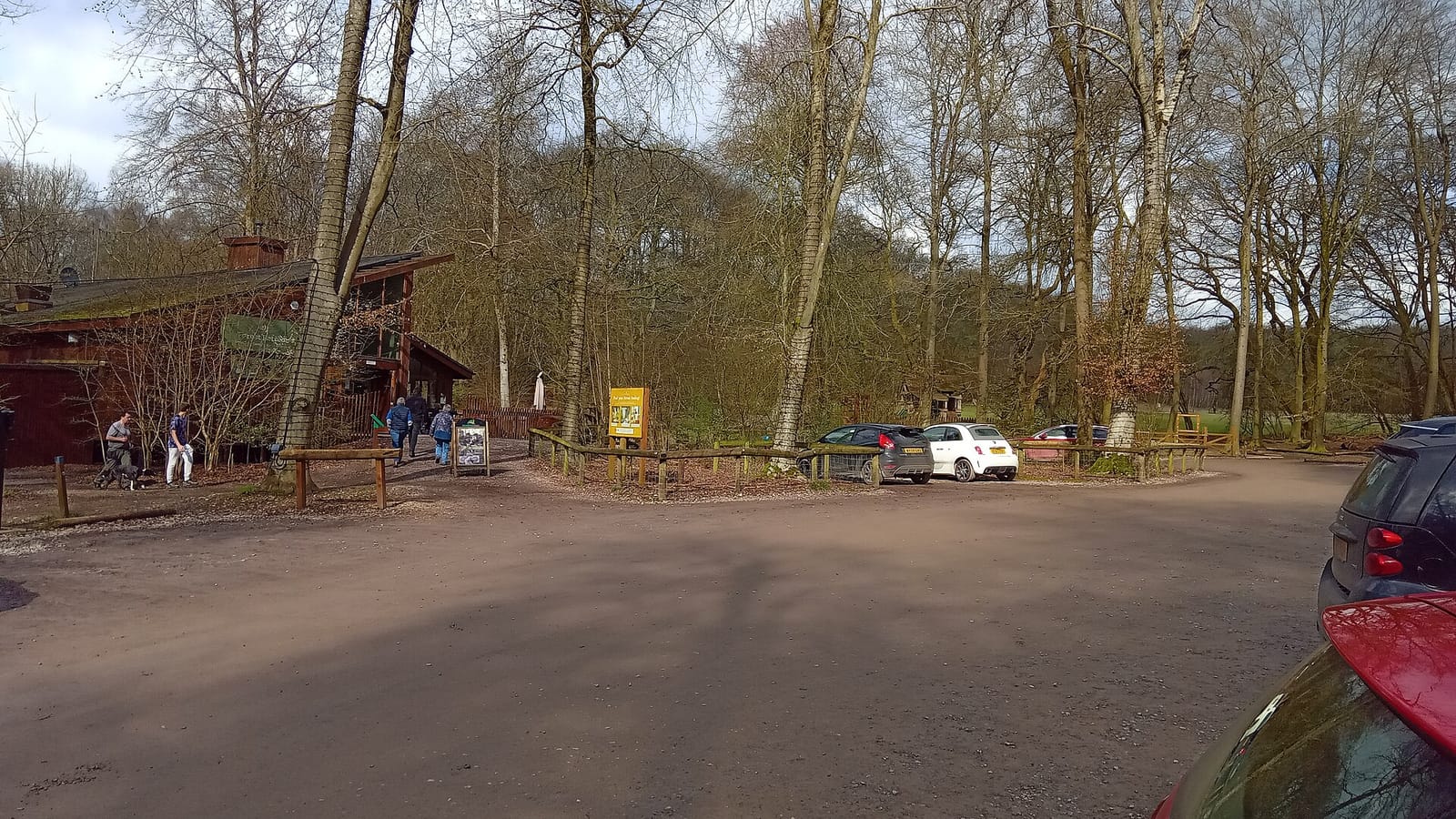Forest Retreat photo 2