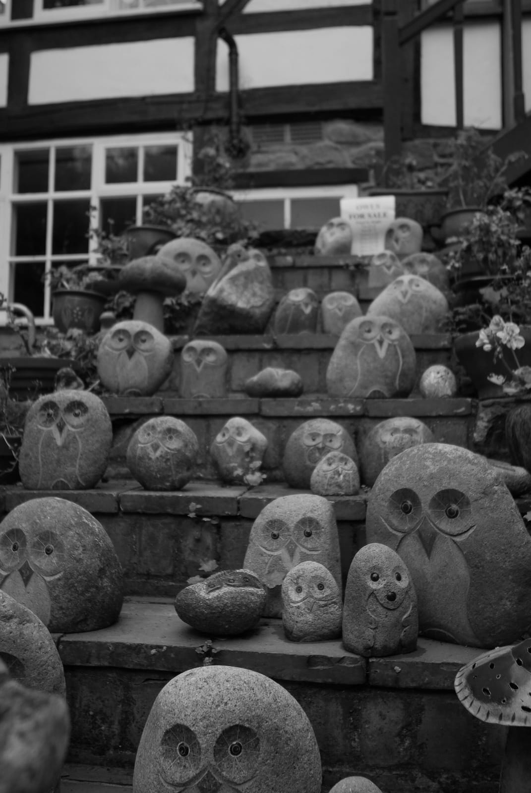 Merchant's House Cafe & Antiques Centre photo 3