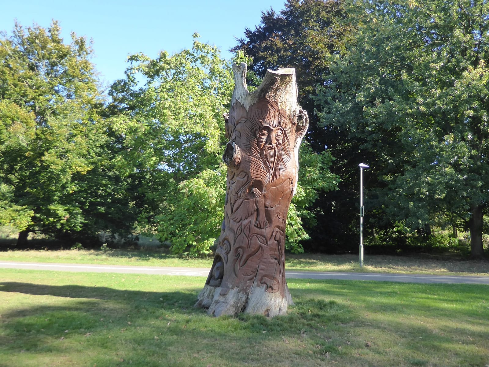 Cafe in the park photo 3