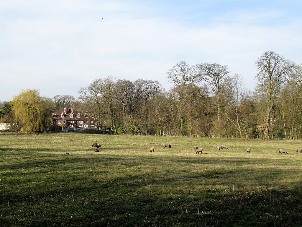 Inn On The Park photo 2