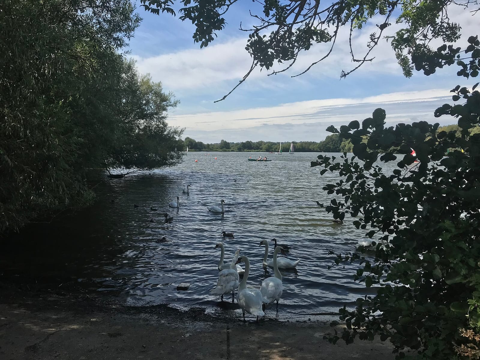The Cafe in the Park photo 2