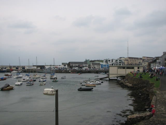 Koko photo 4