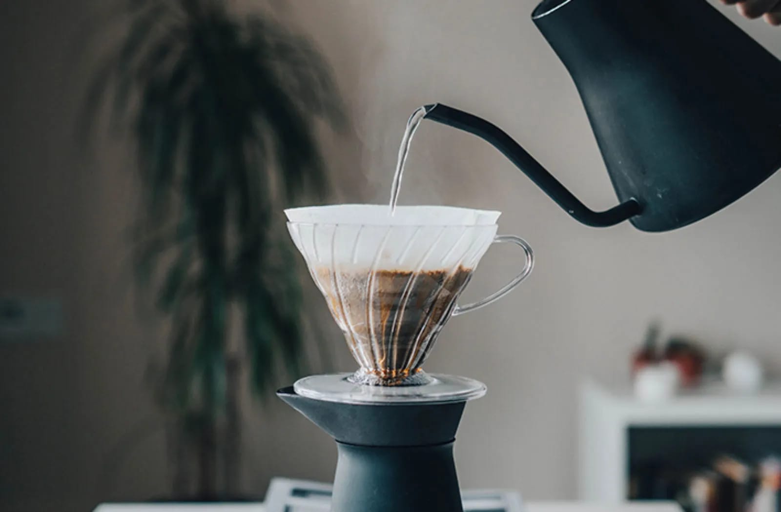 Drop Hopper Coffee Roasters photo 4