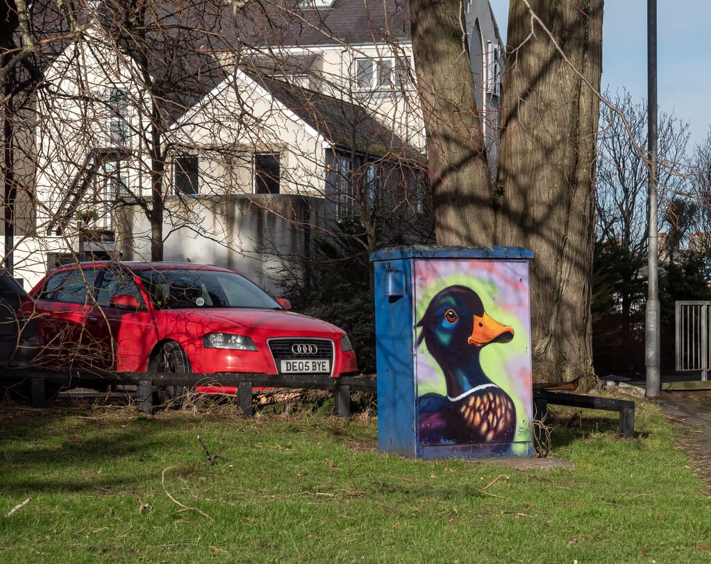 Park Life photo 3