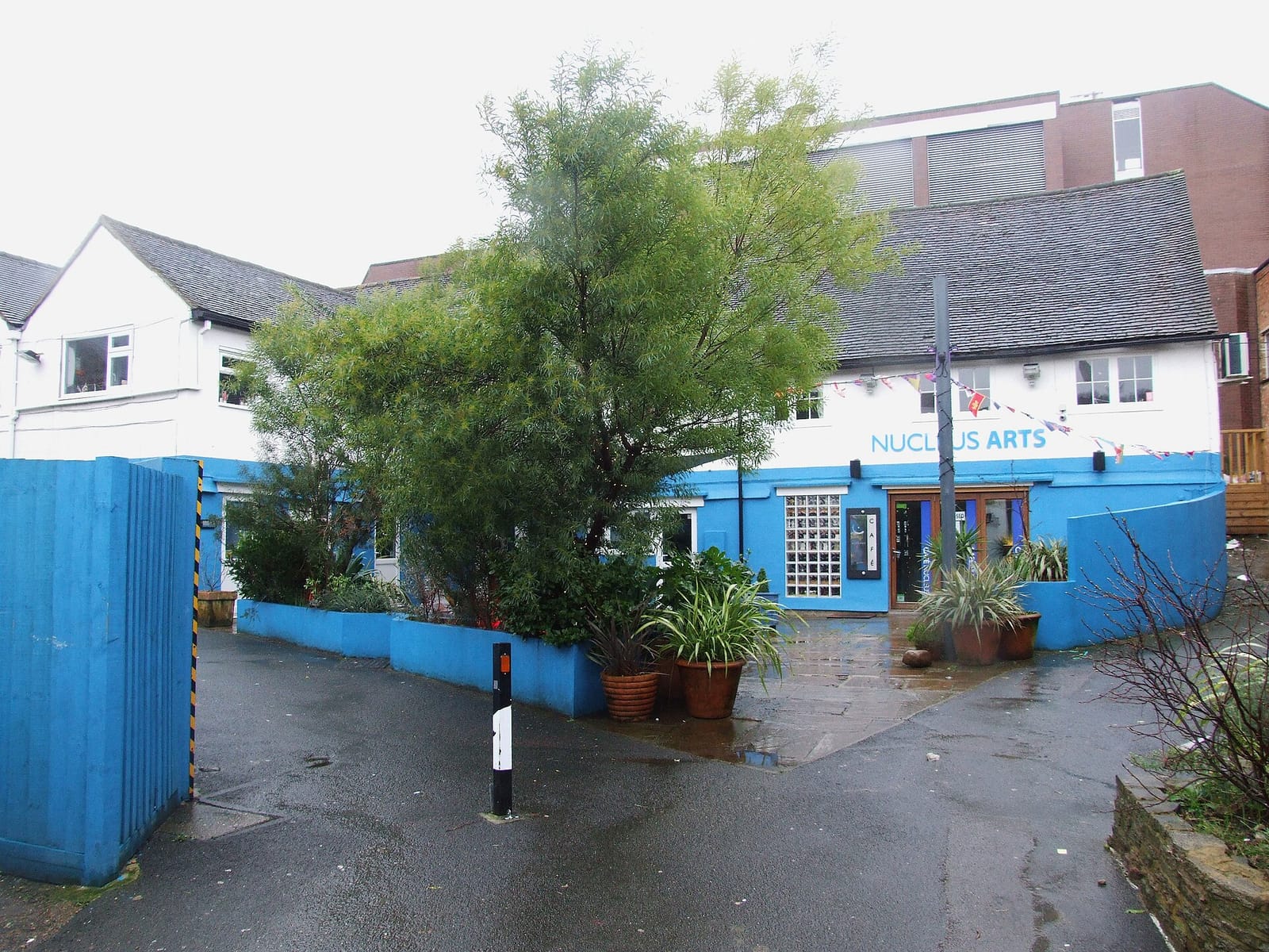 Jesse's Cafe photo 4