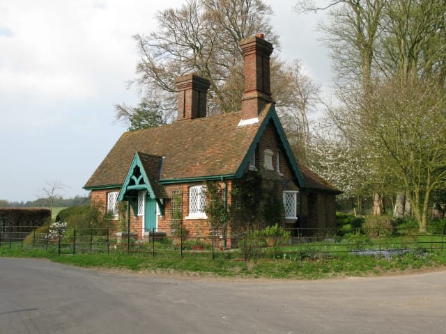 Tadpoles Tea Room photo 3