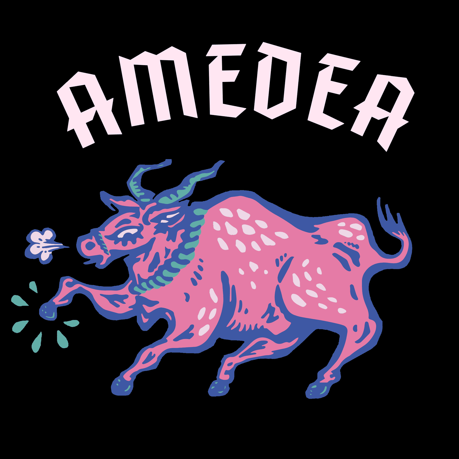Amedea photo 2