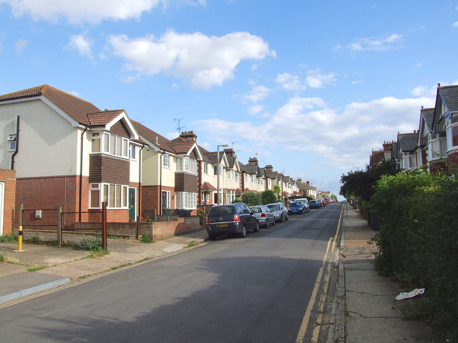 The Bears Trading Company photo 2