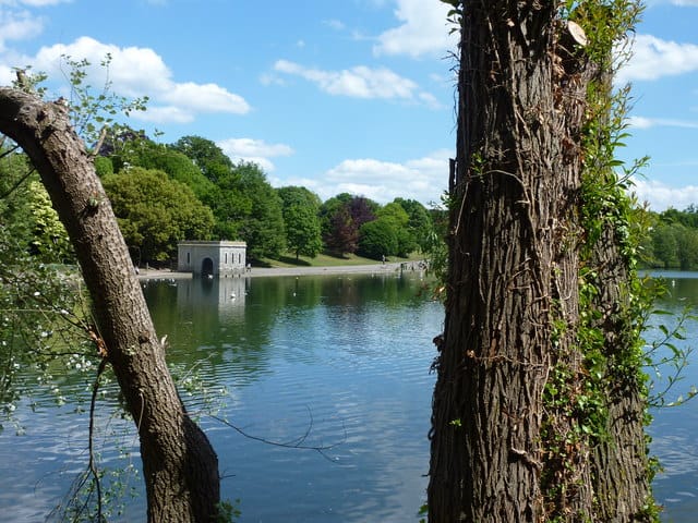 Mote Park Café photo 3