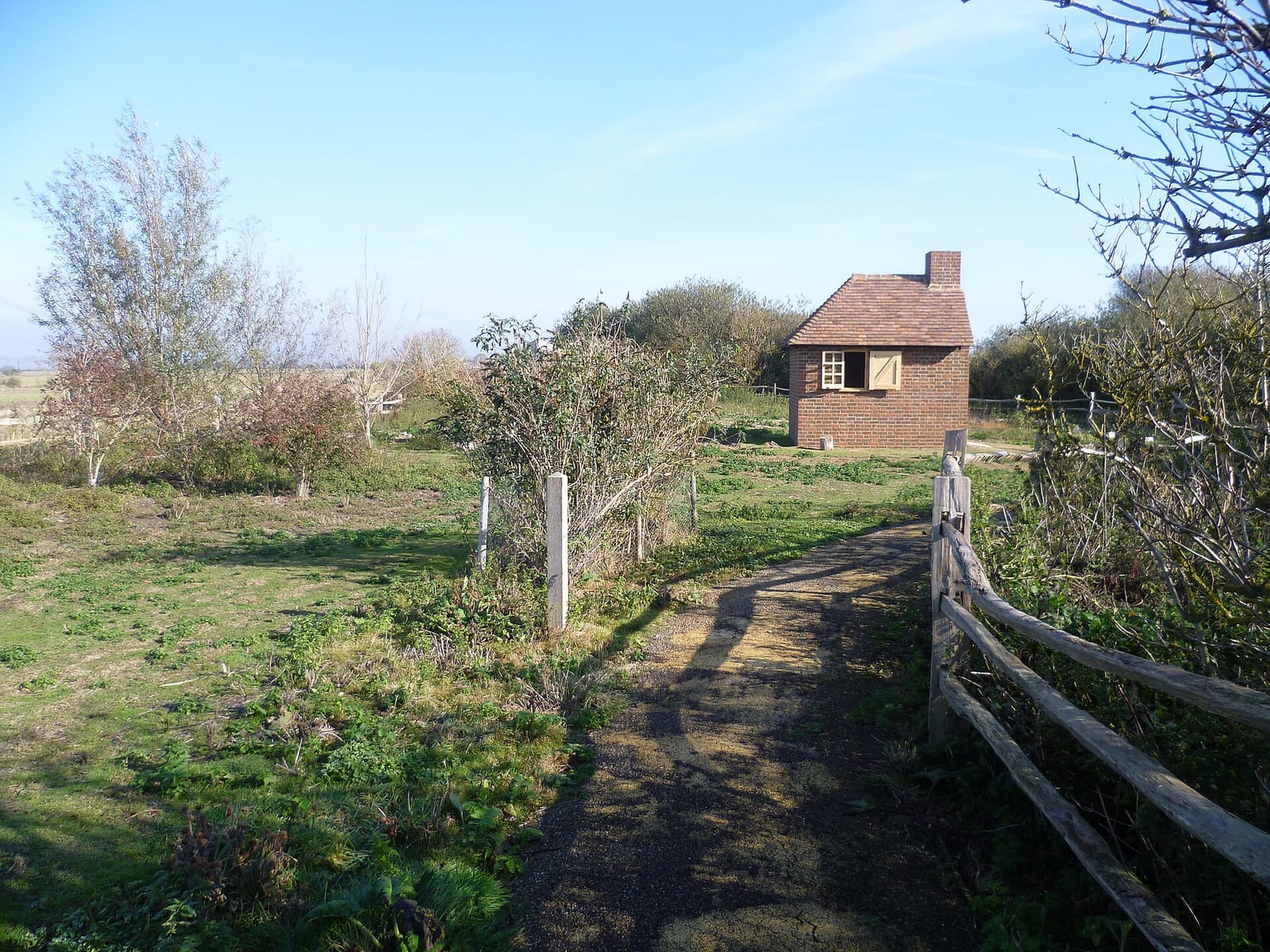 The Nest photo 3